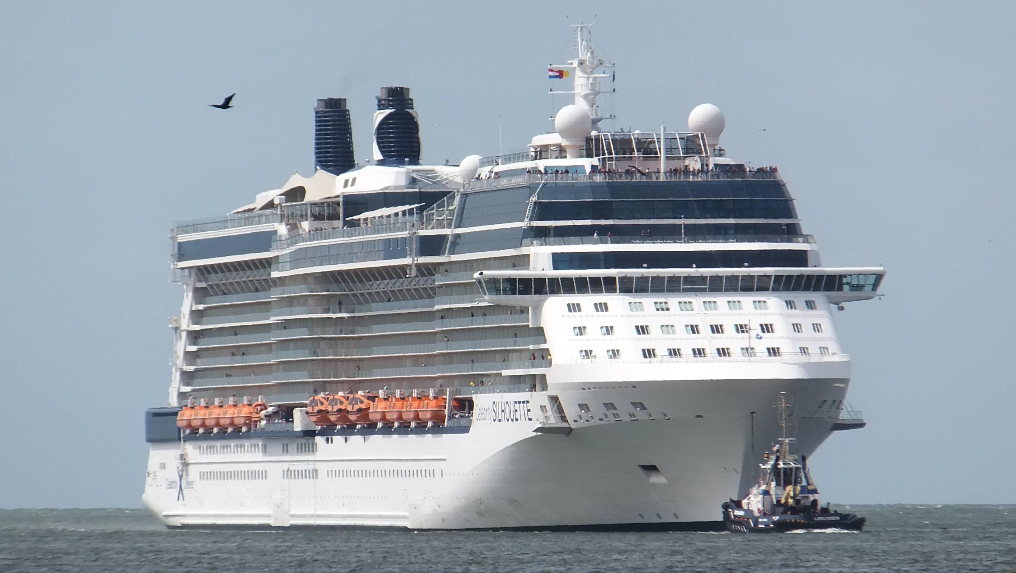 CELEBRITY SILHOUETTE